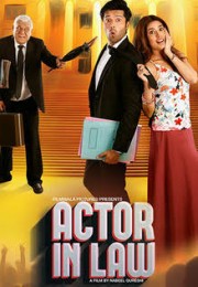 Vai Diễn Để Đời - Actor in Law 