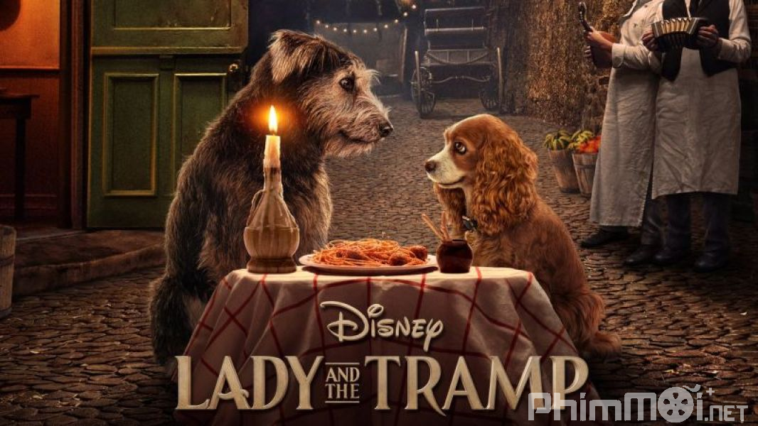 Tiểu Thư Và Chàng Lang Thang - Lady and the Tramp