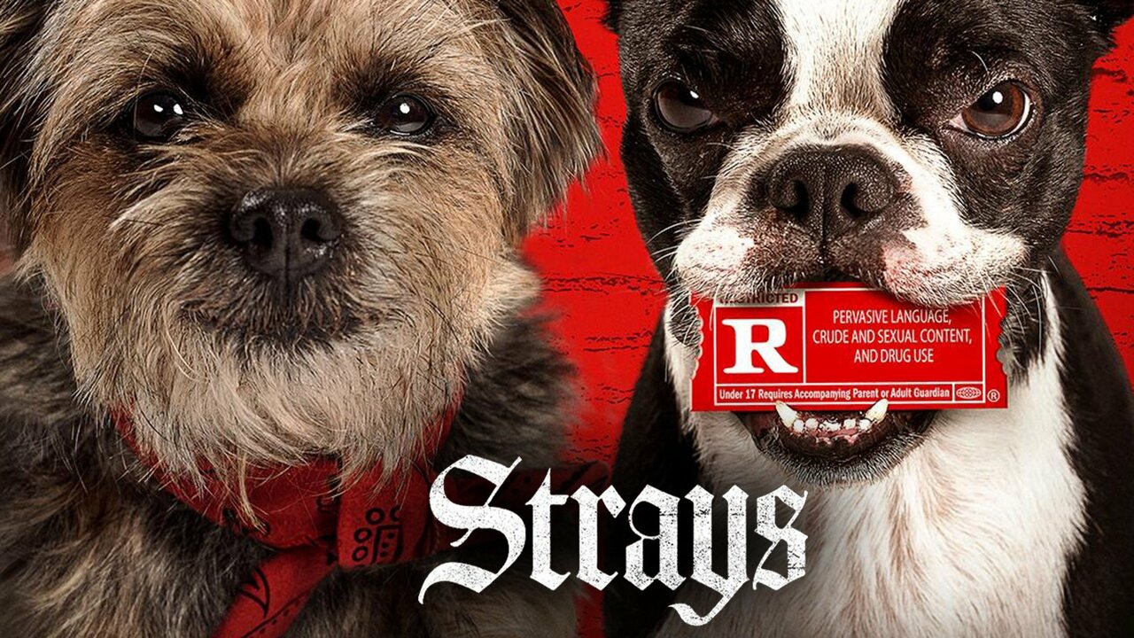 Lạc Đường-Strays